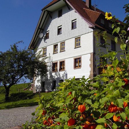 Fehrenbacherhof Naturgaestehaus Lauterbach (Baden-Wurttemberg) Exterior foto