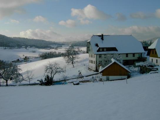 Fehrenbacherhof Naturgaestehaus Lauterbach (Baden-Wurttemberg) Exterior foto
