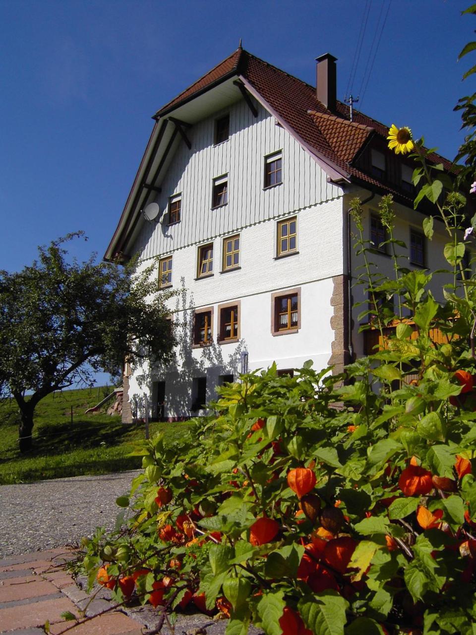 Fehrenbacherhof Naturgaestehaus Lauterbach (Baden-Wurttemberg) Exterior foto